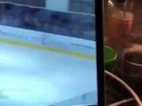 Hockey sur glace : violente agression sur Adam Havlik