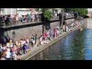 15 000 canards lâchés dans l’Ill