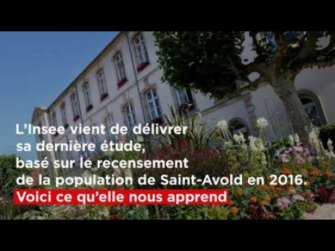A quoi  ressemble  le Naborien  moyen ?