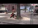 Belfort : l'abattage des marronniers de la place d'Armes - Label : L'Alsace - Category : News