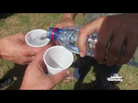 Le JT des Eurocks épisode 1