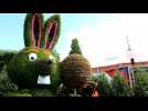 Folie'flore: jardins et lapins au Parc-Expo de...