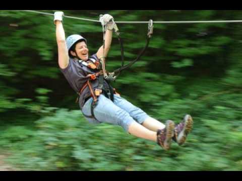 Une escapade arboricole de l'autre côté de la...