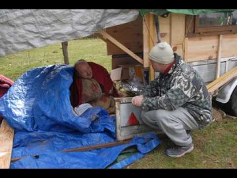 SDF electrosensible...