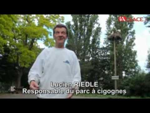Parc Cigognes Cernay