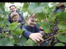 Les ecoliers mulhousiens viticulteurs d'un... - Label : L'Alsace - Category : News