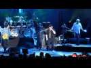 Foire aux vins : concert Toto - Label : L'Alsace - Category : News