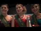 Foire aux vins : Intronisatio reine des vins 2012