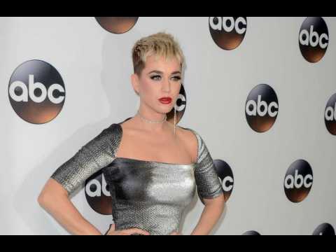 Katy Perry installs solar panels on her property