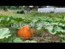 A Montb&eacute;liard, Nicolas et Virginie veulent promouvoir une agriculture naturelle - Label : L'Est Républicain - Category : News