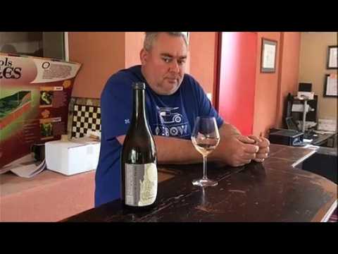 3 questions à Fabrice Dodane, vigneron du Domaine de Saint-Pierre à Mathenay