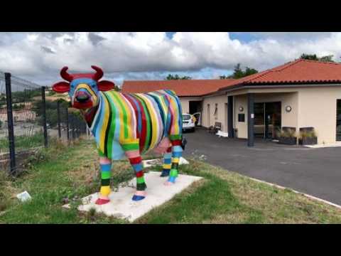 Clinique vétérinaire à Rive-de-Gier