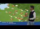 Ce vendredi, une belle journ&eacute;e ensoleill&eacute;e - Label : Les Dernières Nouvelles d'Alsace - Category : News