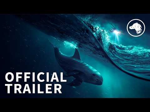 Sea of Shadows - Official UK Trailer
