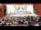 Southern African Development Community (SADC) summit opens in Dar es Salaam