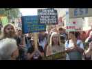 Britons protest Johnson's Brexit move in London