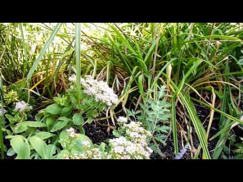 La sonnerie du tocsin à Neufchâteau