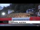 Clean-up operation underway in Austria after big mudslide