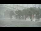 Strong winds and grey skies as Hurricane Dorian crawls to Florida - Label : AFPTV - First images - Category : News