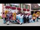 Le Pfiff des Joyeuses Drosophiles - Label : L'Alsace - Category : News
