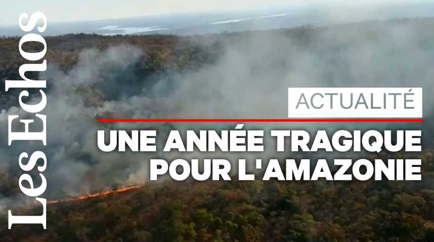 Illustration pour la vidéo L'Amazonie ravagée par de violents incendies