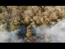 Images of wildfires in Bolivia - Label : AFPTV - First images - Category : News