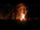 Wildfires burn areas of Bolivia rainforest - Label : AFPTV - First images - Category : News