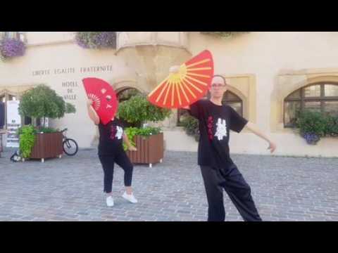 Guebwiller : Floritaiji en démonstration en centre-ville
