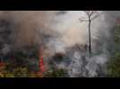 PHOTOS: Fire hits Brazil's Rondonia state Amazon rainforest