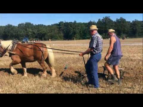 La fête de l'agriculture à Servas