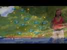 Un soleil rayonnant ce lundi - Label : Les Dernières Nouvelles d'Alsace - Category : News