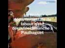 Finales départementales de labour en Haute-Loire : rétrospective et explication