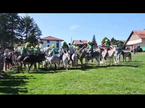 Le tiercé des ânes, moment fort de la fête de Fournets-Luisans