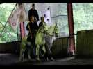 Jungholtz: les quatre &eacute;l&eacute;ments chevauch&eacute;s par la troupe Quendor - Label : L'Alsace - Category : News