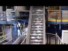 Centre de tri de Firminy : le parcours des déchets recyclables