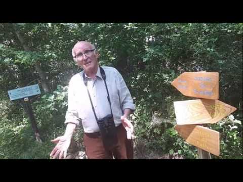 Ecopôle du Forez :  les origines