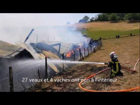 31 bovins tués dans l'incendie d'un bâtiment agricole