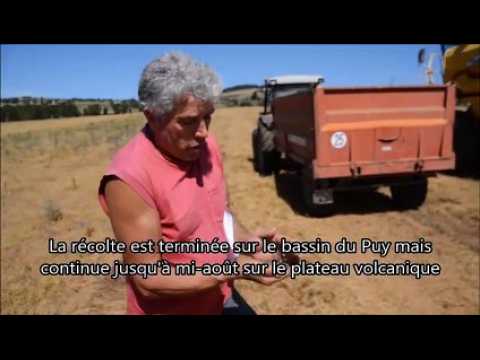 Jean-François Beraud, producteur de lentilles vertes du Puy