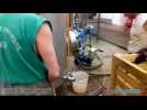 ENTREPRISE PATRICK FONT JUS DE FRUITS SAINT ROMAIN EN JAREZ