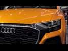 Vidéo 87e Salon de l'auto de Genève: Audi dévoile le Q8 concept Vidéo 87e Salon de l'auto de Genève: Audi dévoile le Q8 concept