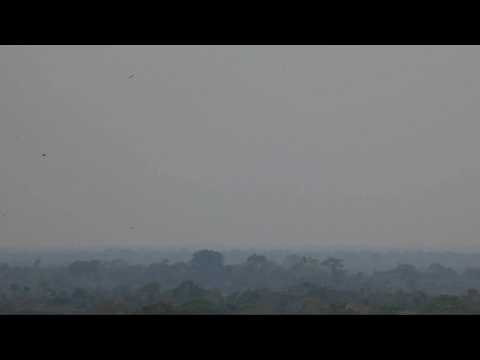 Smoke cloud from Amazon fires covers Brazil's Rio Branco