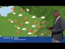 La m&eacute;t&eacute;o du 29 ao&ucirc;t - Label : Les Dernières Nouvelles d'Alsace - Category : News
