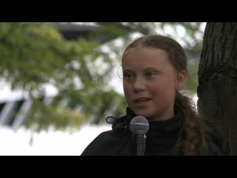 Greta Thunberg says Amazon fires 'clear sign we need to stop destroying nature'