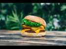 Lewis Hamilton launching plant-based burger chain