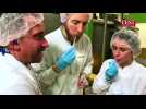 Dans le plus gros pot de Nutella au monde - Label : L'Est Républicain - Category : News