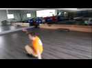 Toul : Nicolas Laurent sacré champion du monde de break dance