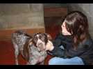 SPA de Velaine-en-Haye : de l'espoir pour les chiens et chats abandonn&eacute;s - Label : L'Est Républicain - Category : News