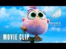 The Angry Birds Movie 2 - Hatchling Eggs - At Cinemas Now