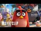 The Angry Birds Movie 2 - Sub Landing At Eagle Island Clip - At Cinemas Now