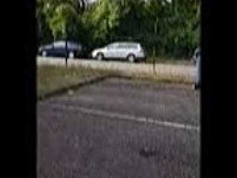 On entend le chant des cigales à Champigneulles (54)